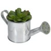 Northlight 6" Potted Artificial Mini Echeveria Succulent With Watering Can -Northlight 10eff3cdd33b488e8b4f39953e4d9b8c