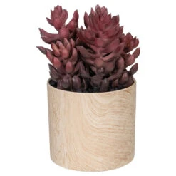 Northlight 7" Purple Artificial Succulent In Faux Wood Pot