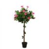 Northlight 47" Potted Green And Pink Artificial Rose Tree -Northlight 13c9ed5af5c7428a996a6367c2c86244