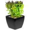Northlight 6" Potted Green Artificial Succulent Arrangement -Northlight 1c7702822fca4f46a05f15336b76cdb6