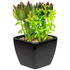 Northlight 6" Potted Green Artificial Succulent Arrangement