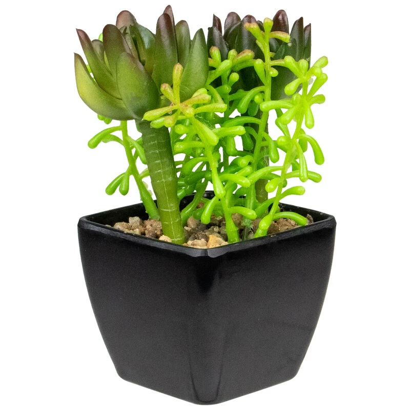 Northlight 6" Potted Green Artificial Succulent Arrangement 3 Northlight 6" Potted Green Artificial Succulent Arrangement