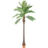 Northlight 8' Artificial Potted Phoenix Palm Tree -Northlight 1cf8dc1954684f1faf1ea96c3eb97f3c