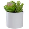Northlight 5.5” Mixed Artificial Succulent Arrangement In A White Pot