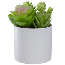 Northlight 5.5” Mixed Artificial Succulent Arrangement In A White Pot
