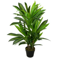 Northlight 35" Green Artificial Dracaena Potted Plant