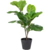 Northlight 26" Dark Green Artificial Potted Fiddle-Leaf Fig Plant -Northlight 3b69e1cfeec64ff59f30ede858231e4c