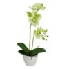 Northlight 14" Ivory Green And White Artificial Orchid Potted Plant Tabletop Decor