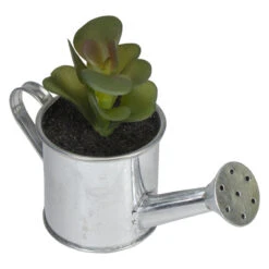 Northlight 6" Tropical Atlantis Artificial Succulent In Water Can