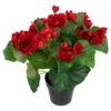 Northlight 11" Red Potted Silk Begonia Spring Artificial Floral Arrangement