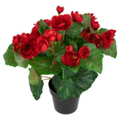Northlight 11" Red Potted Silk Begonia Spring Artificial Floral Arrangement
