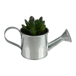 Northlight 6" Tropical Mini Artificial X Pachyveria Succulent In Watering Can