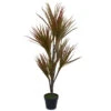 Northlight 55" Green And Red Artificial Dracaena Potted Plant -Northlight 54a9f3dd4a614ccca362e0fa573596a4
