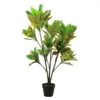 Northlight 45.75" Green And Black Artificial Croton Tree With Variegated Leaves
