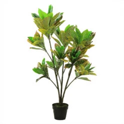 Northlight 45.75" Green And Black Artificial Croton Tree With Variegated Leaves