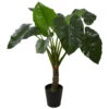 Northlight 51" Potted Green Wide Leaf Taro Artificial Floor Plant -Northlight 611cfd6517324071a22b2f1dca514a21