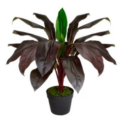 Northlight 23" Red And Green Artificial Dracaena Potted Plant Home Decor