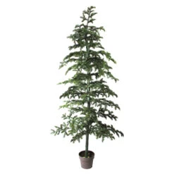 Northlight 6.5' Potted Green Spruce Artificial Topiary Tree – Unlit