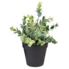 Northlight 10" Green Artificial Melia Azedarach Plant In Black Pot -Northlight 74d593456c0e46988769c0625219b250