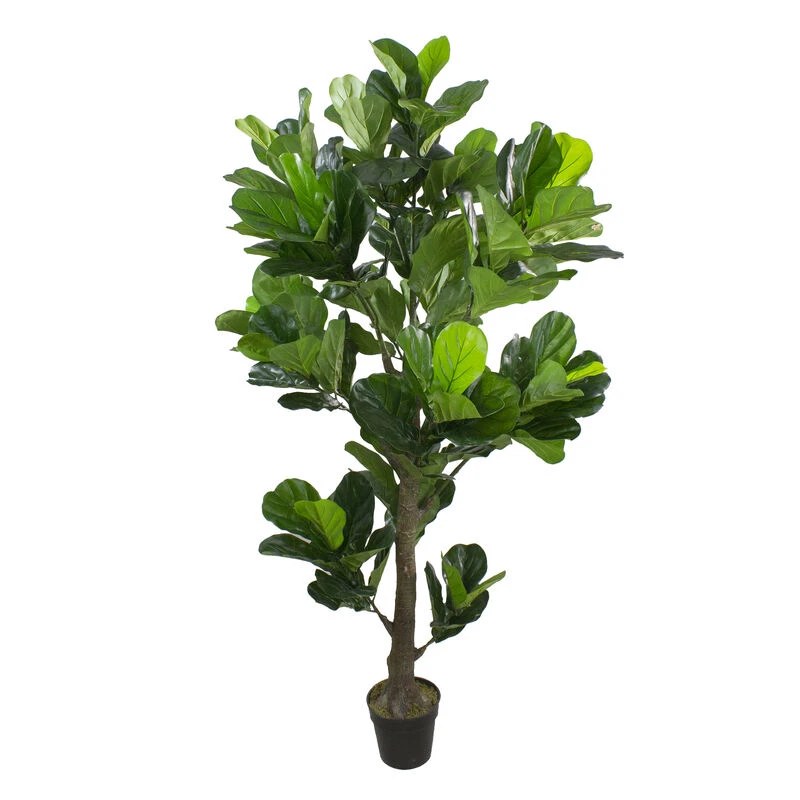 Northlight 6.25' Potted Two Tone Green Artificial Wide Fiddle Leaf Fig Tree 3 Northlight 6.25' Potted Two Tone Green Artificial Wide Fiddle Leaf Fig Tree