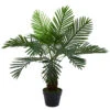 Northlight 35" Green Artificial Miniature Potted Palm Plant 1 Northlight 35" Green Artificial Miniature Potted Palm Plant -Northlight 801b3c3b58df4178bb8c3db4c126d2b4