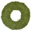 Northlight 13.7" Reindeer Moss Artificial Floral Spring Wreath - Unlit -Northlight 819170a0a7a04e8c8e4baa2c2c74c6e4