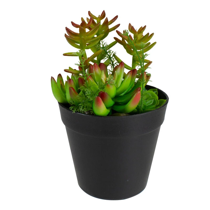 Northlight 8" Green And Red Artificial Mixed Succulent Plant Arrangement 3 Northlight 8" Green And Red Artificial Mixed Succulent Plant Arrangement