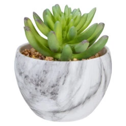 Northlight 4.25" Green Artificial Succulent In Faux Marble Pot
