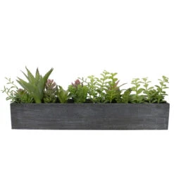 Northlight Mix Succulent In Long Wooden Case H21.59cm