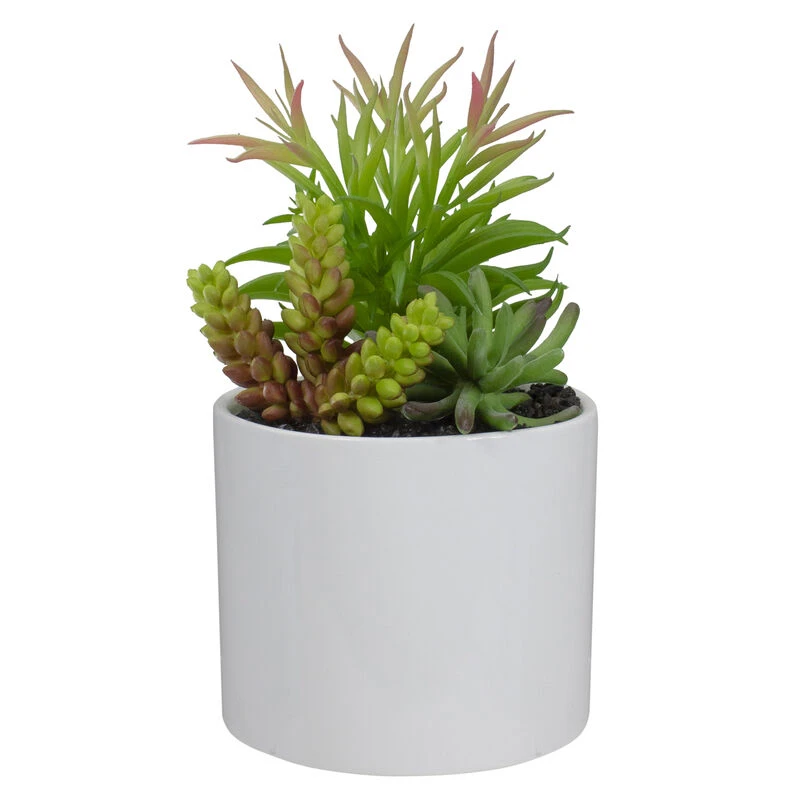 Northlight 9" Artificial Succulent Arrangement In White Ceramic Pot 3 Northlight 9" Artificial Succulent Arrangement In White Ceramic Pot