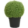 Northlight 22" Artificial Boxwood Ball Topiary In Round Pot Unlit -Northlight 8b61b0a1272c46f28375bc83600b28ce
