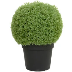 Northlight 22" Artificial Boxwood Ball Topiary In Round Pot Unlit
