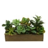 Northlight 11.5" Artificial Mixed Succulent Plants In A Wooden Planter Box -Northlight 9d75c39f701c4db991c01eac98166e37