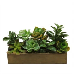 Northlight 11.5" Artificial Mixed Succulent Plants In A Wooden Planter Box