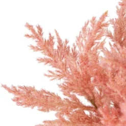 Northlight 12" Pink Cypress Artificial Plant In A Ceramic Pot 11 Northlight 12" Pink Cypress Artificial Plant In A Ceramic Pot -Northlight GUEST 03a672dc 583b 4dfc ae55 a7dc61a23e18