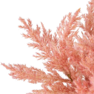 Northlight 12" Pink Cypress Artificial Plant In A Ceramic Pot 7 Northlight 12" Pink Cypress Artificial Plant In A Ceramic Pot - Image 5