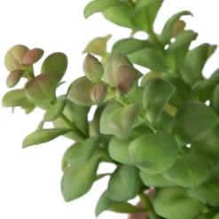 Northlight Real Touch™ Artificial Privet Plant In Vintage Milk Can Style Earthenware Pot - 14" -Northlight GUEST 0f8dac75 a606 4758 a838 f7f24347641b