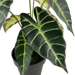 Northlight Real Touch™ Artificial Taro Plant In Black Pot 18" -Northlight GUEST 145577fa 80d9 462d b38e 872f802a6461