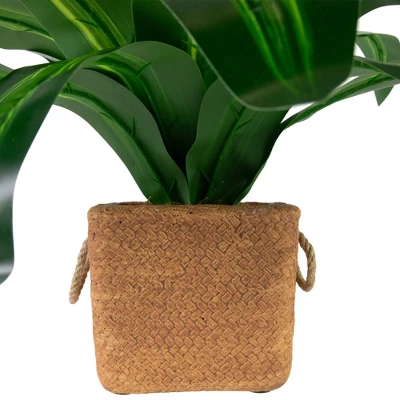 Northlight 27" Artificial Dracaena Plant In Square Rattan Pattern Ceramic Pot 5 Northlight 27" Artificial Dracaena Plant In Square Rattan Pattern Ceramic Pot - Image 3