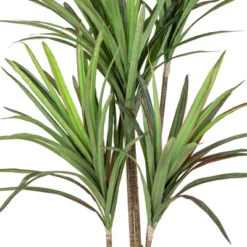 Northlight 5.5' Green Artificial Dracaena Marginata Plant In Black Pot 8 Northlight 5.5' Green Artificial Dracaena Marginata Plant In Black Pot -Northlight GUEST 2433163b 63e2 41da 8c25 fe784d6655a0