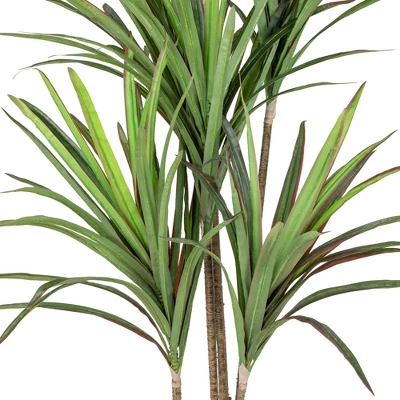 Northlight 5.5' Green Artificial Dracaena Marginata Plant In Black Pot 5 Northlight 5.5' Green Artificial Dracaena Marginata Plant In Black Pot - Image 3