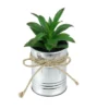 Northlight 6" Tropical Artificial Plant In Tin Planter - Green/Silver -Northlight GUEST 2512a1fa 75db 4225 a32f abfeb3964983