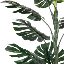 Northlight -Northlight GUEST 2a50f3de d0c5 4219 bf41 9dcae8ae9a93