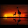 Northlight Safari Sunset LED Back Lit Giraffe And Baby Canvas Wall Art 11.75" X 15.75" -Northlight GUEST 32b94150 3b5a 497b bda8 77f6f0410d6a