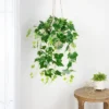 Northlight 31.5" Ivy Floral Artificial Hanging Spring Floral Bush - Green/White -Northlight GUEST 32fa5f58 9423 4ff7 82bc 4d3ca9541734