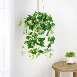 Northlight 31.5" Ivy Floral Artificial Hanging Spring Floral Bush - Green/White