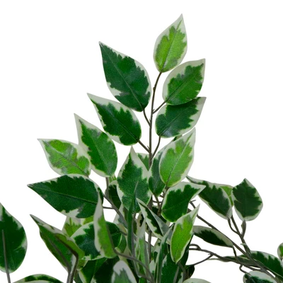 Northlight 47" Artificial Variegated Green And Ivory Leaf Ficus Potted Plant 4 Northlight 47" Artificial Variegated Green And Ivory Leaf Ficus Potted Plant - Image 2