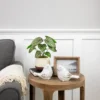 Northlight 10.25" Artificial Peperomia Plant In Two-Tone Ceramic Pot -Northlight GUEST 3eb6707c 98c1 4279 9024 d037e3a521c9