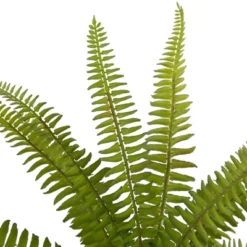 Northlight 12" Artificial Boston Fern Plant In Aztec Pattern Ceramic Pot 11 Northlight 12" Artificial Boston Fern Plant In Aztec Pattern Ceramic Pot -Northlight GUEST 482b4373 8da2 4742 925a ad6bb6c72c1d