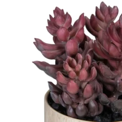 Northlight 7" Purple Artificial Succulent In Faux Wood Pot -Northlight GUEST 515952df aee5 4b67 8527 809a764f03df